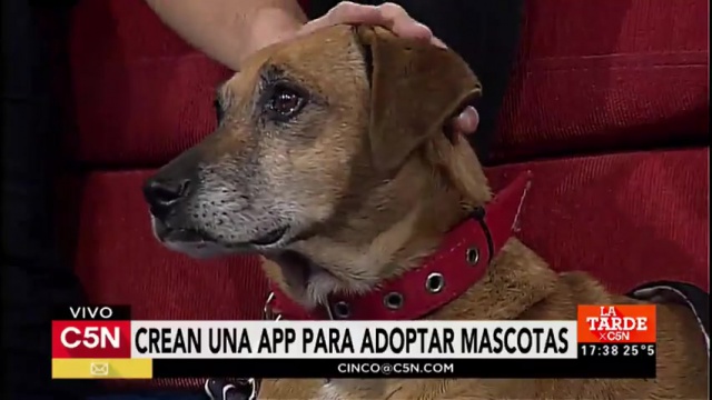 BURAKO PRESENTÓ NUESTRA APP EN LA TELE Y ESTUVO GENIAL! 