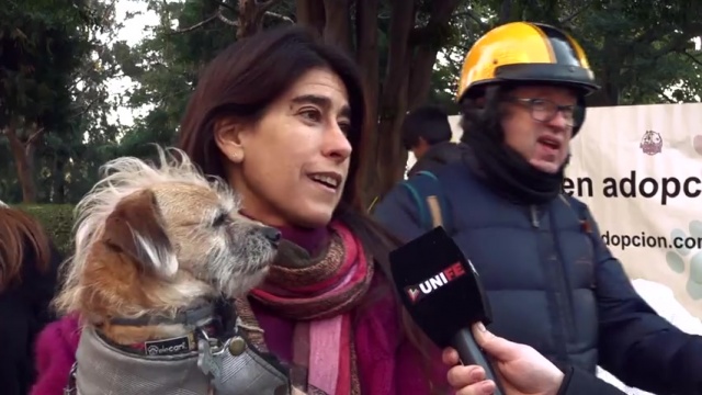 JORNADA DE ADOPCIÓN EN PLAZA LAS HERAS sábados de 15 a 18 hs